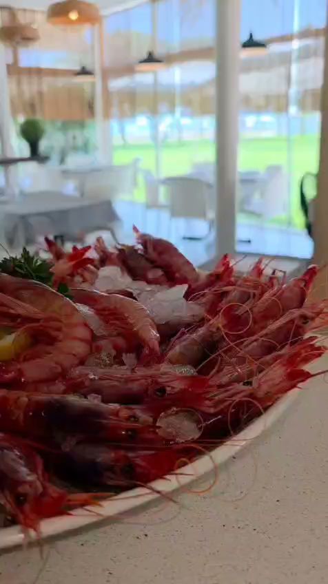 Vermuteria bonmarisc · Fotos 4